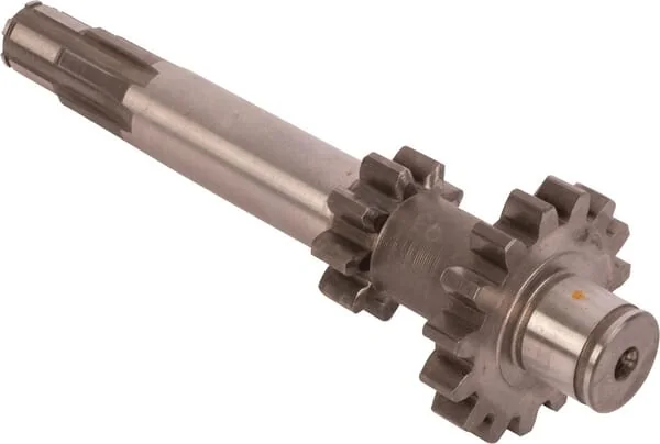 Goldoni - 00066301 - Gear
