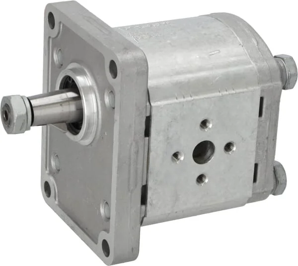 Goldoni - 02030029 - GOLDONI HYDRAULIC PUMP