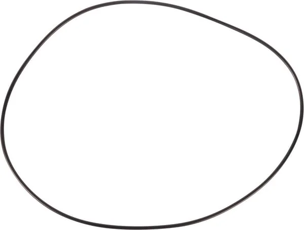Goldoni - 06230063 - O-Ring 234.50x3.53/492