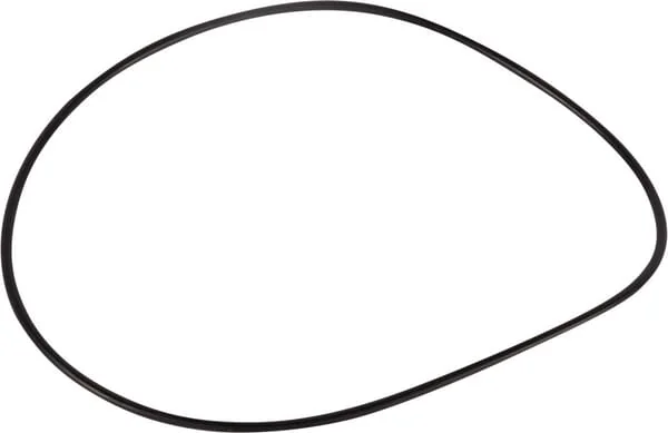 Goldoni - 06230165 - O-Ring 171.04x3.53