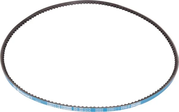 Goldoni - 06330029 - V-Belt