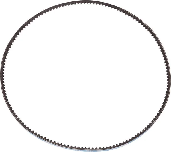 Goldoni - 06330029 - V-Belt