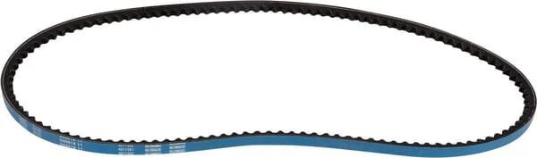 Goldoni - 06330088 - V-Belt