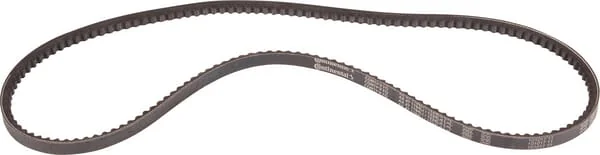 Goldoni - 06330097 - V-Belt