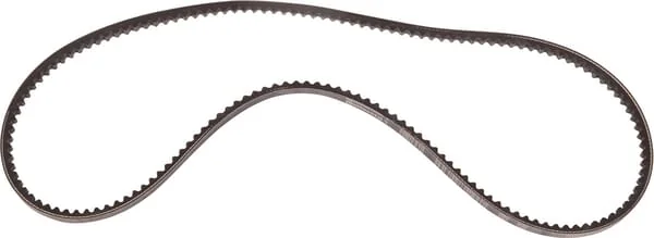 Goldoni - 06330097 - V-Belt