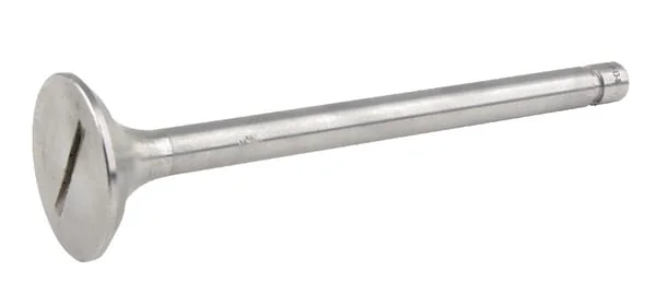 Gopart - 2401007015B4N - Exhaust Valve