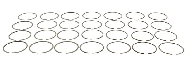 Gopart - 501004060A3N - Piston Ring Set Belarus