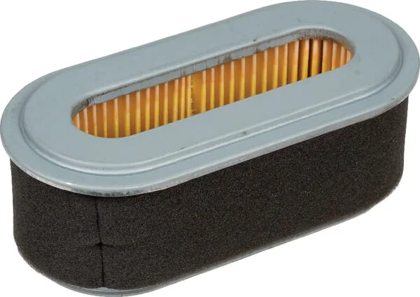 Gopart - FGP430064 - Air Filter For Robin