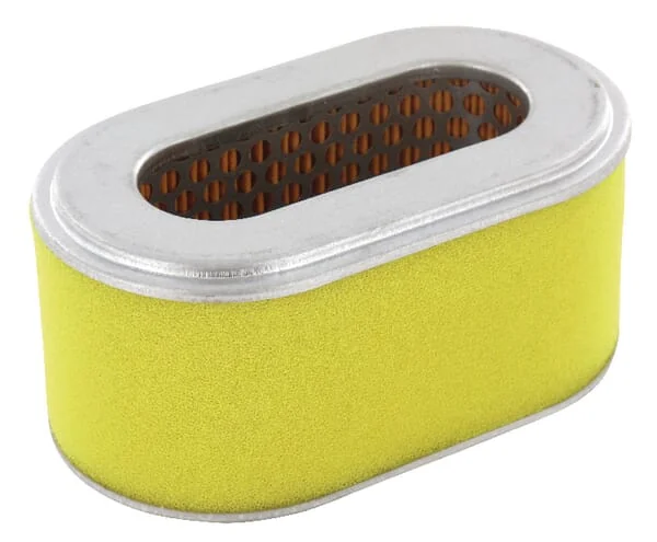 Gopart - FGP430065 - Air Filter For Robin