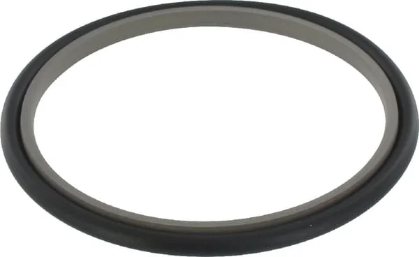 Hallite - SAS90105163 - Hallite Rod Wiper Stepseal 90x105.1x6.3