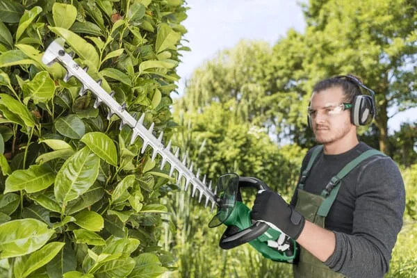 Hikoki - CH3656DAW4Z - Cordless Hedge Trimmer Hikoki 36V, 56cm