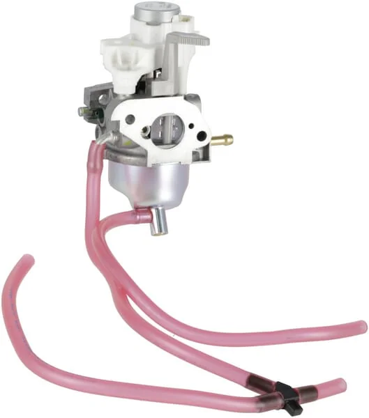 Honda - 16100ZDJD01 - Carburetor Assembly (Bf30h A
