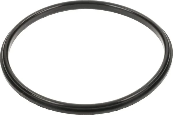 Horsch - 23010301 - Seal