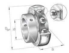 INA FAG - AY20NPP - Locking Bearing