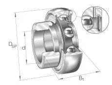INA FAG - GRAE55NPPB - Bearing Insert 55x100x24mm INA FAG