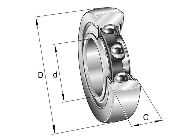 INA FAG - LR205NPP - Bearing Roller