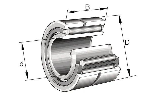 INA FAG - NA6905 - Needle Bearing
