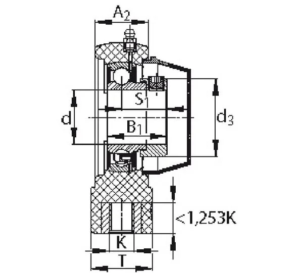 INA FAG - PHE25TVFA1255 - Bearing Insert