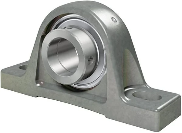 INA FAG - RASE40NFA125 - Bearing Block Protection