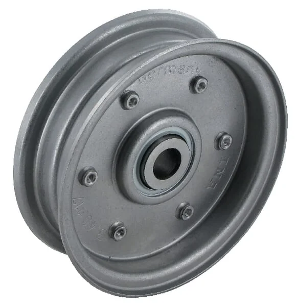 INA FAG - RSRB13117LO - Tensioner Pulley