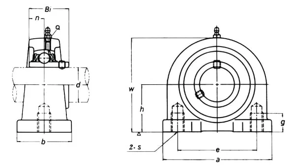 INA FAG - UCPA205 - Pillow Block Complete