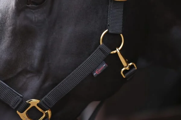 Kerbl - 3224615 - Halter Topline Black Pony