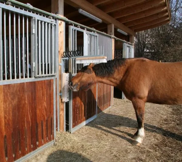 Kerbl - 6033KR - Spring for Cattle Brush