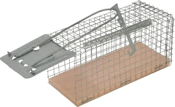 Kerbl - VV299618 - Kerbl Rat and Mouse Trap, Live