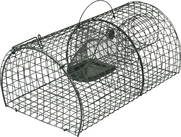 Kerbl - VV299620 - Kerbl Rat Trap Live 40x24x18 cm