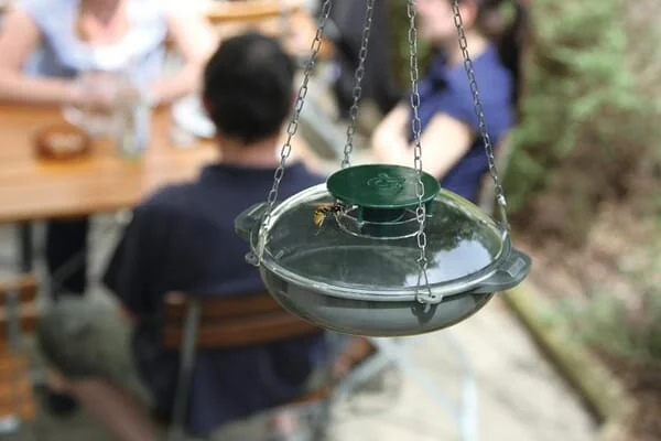 Kerbl - VV3306 - Kerbl Wasp Trap VespaNo
