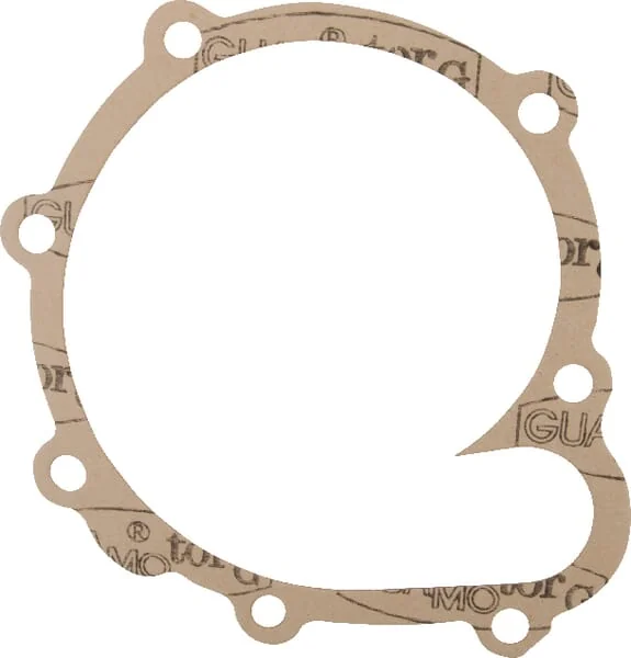 Kramp - 04198968KR - Water Pump Gasket