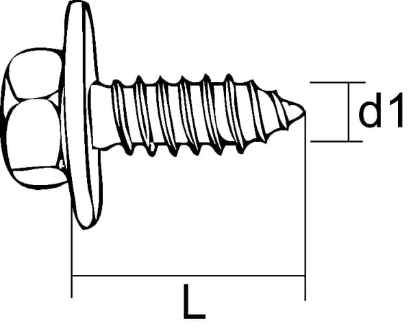 Kramp - 69015519P100 - Kramp Self-Tapping Setscrew 5.5x19 Zinc