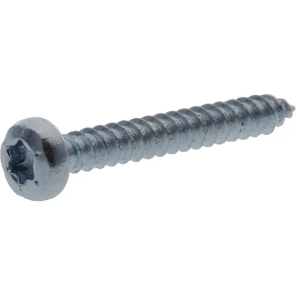 Kramp - 7981C2919TX100 - Self Tapping Screw Torx 2.9x19mm