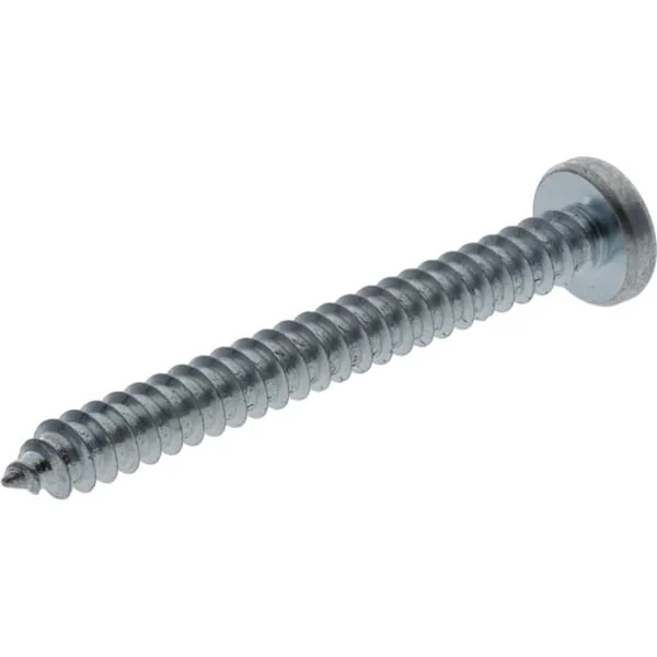 Kramp - 7981C5545TX100 - Self Tapping Screw Torx 5.5x45mm