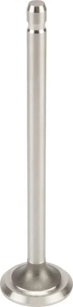 Kramp - FGP014314 - Exhaust Valve B&S 262246S