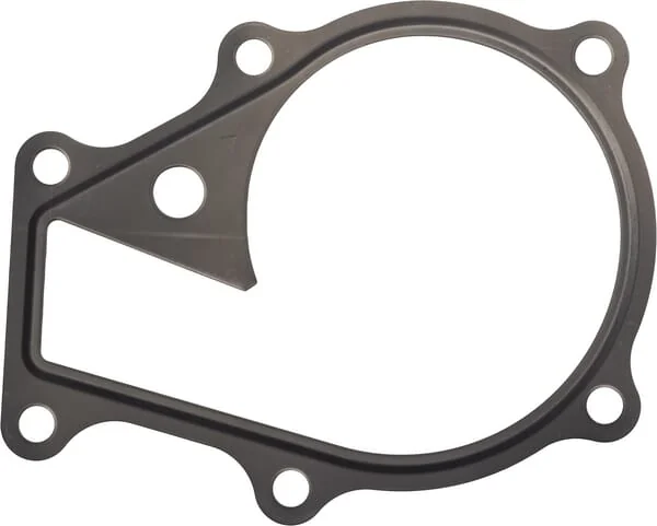 Kubota - 1625173430 - Water Pump Gasket