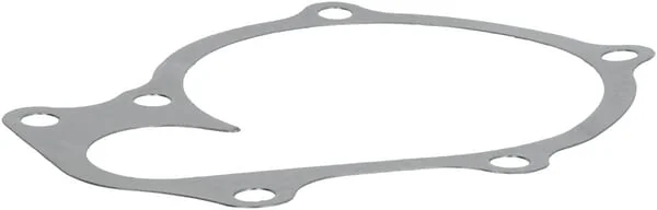 Kubota - 1C01073430 - Water Pump Gasket