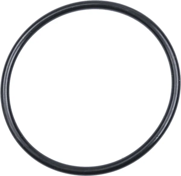 Landini - 3019927X1 - Ring