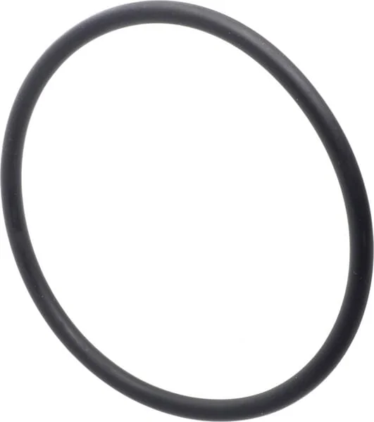 Landini - 3019929X1 - Ring