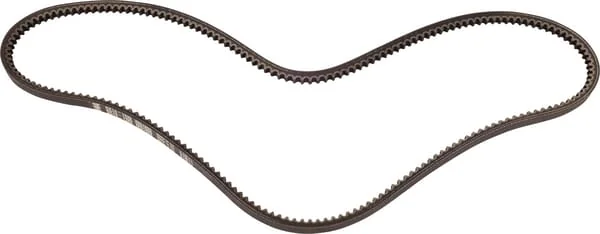 Landini - 3667988M1 - Belt