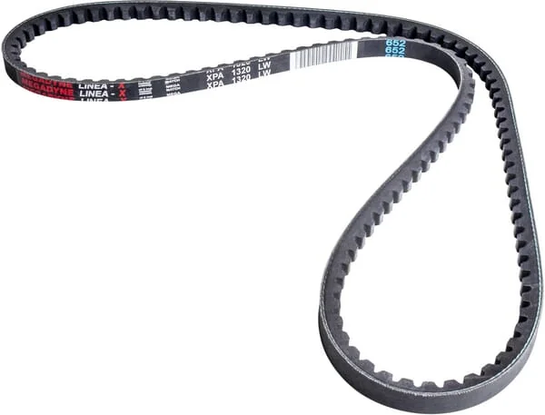 Landini - 3677935M1 - Belt