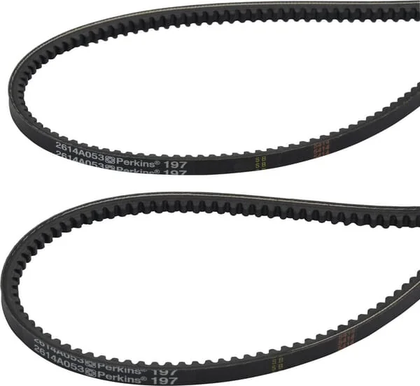 Landini - 6677990A1 - Belt