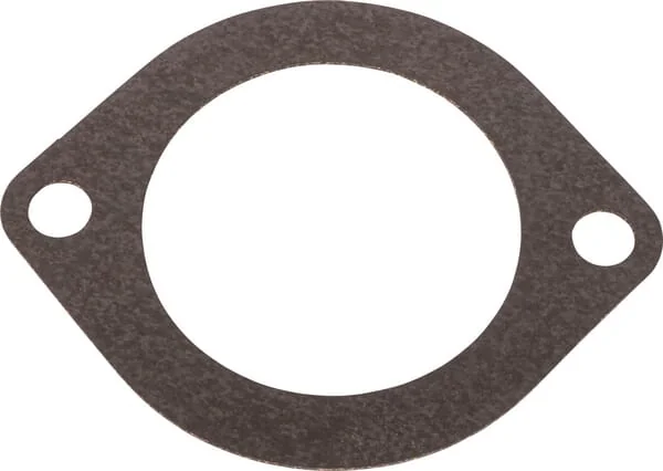 Landini - 6679026A1 - Gasket