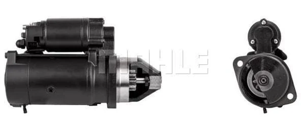 Mahle