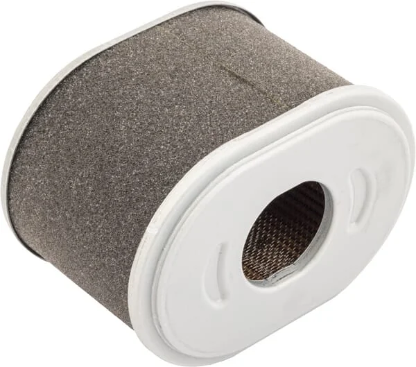 Mann Filter - C10015 - Air Filter