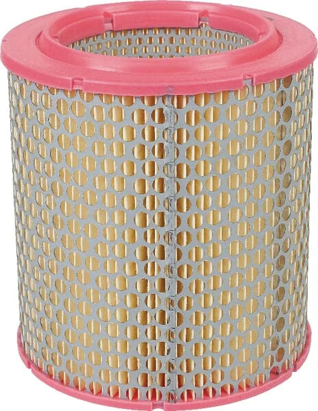 Mann Filter - C17129 - Air Filter Element