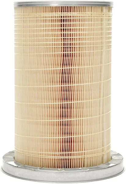 Mann Filter - C193841 - Air Filter