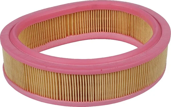 Mann Filter - C22331 - Air Filter Element