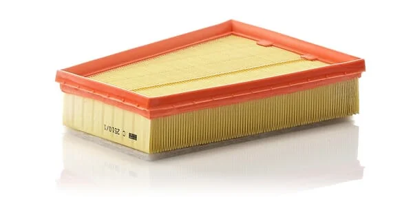 Mann Filter - C25101 - Air Filter