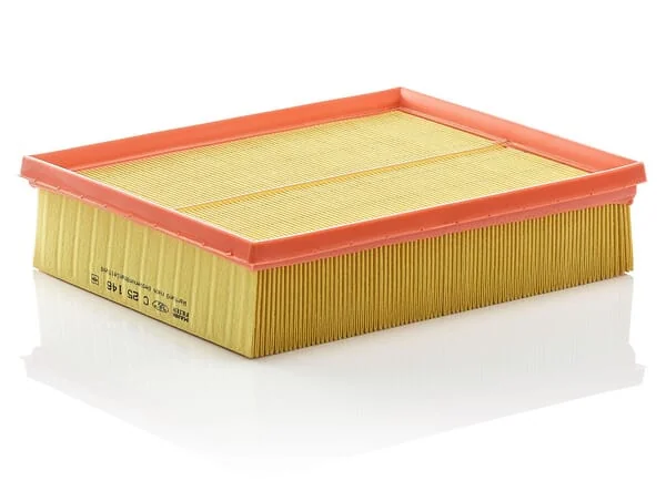 Mann Filter - C25146 - Air Filter Element